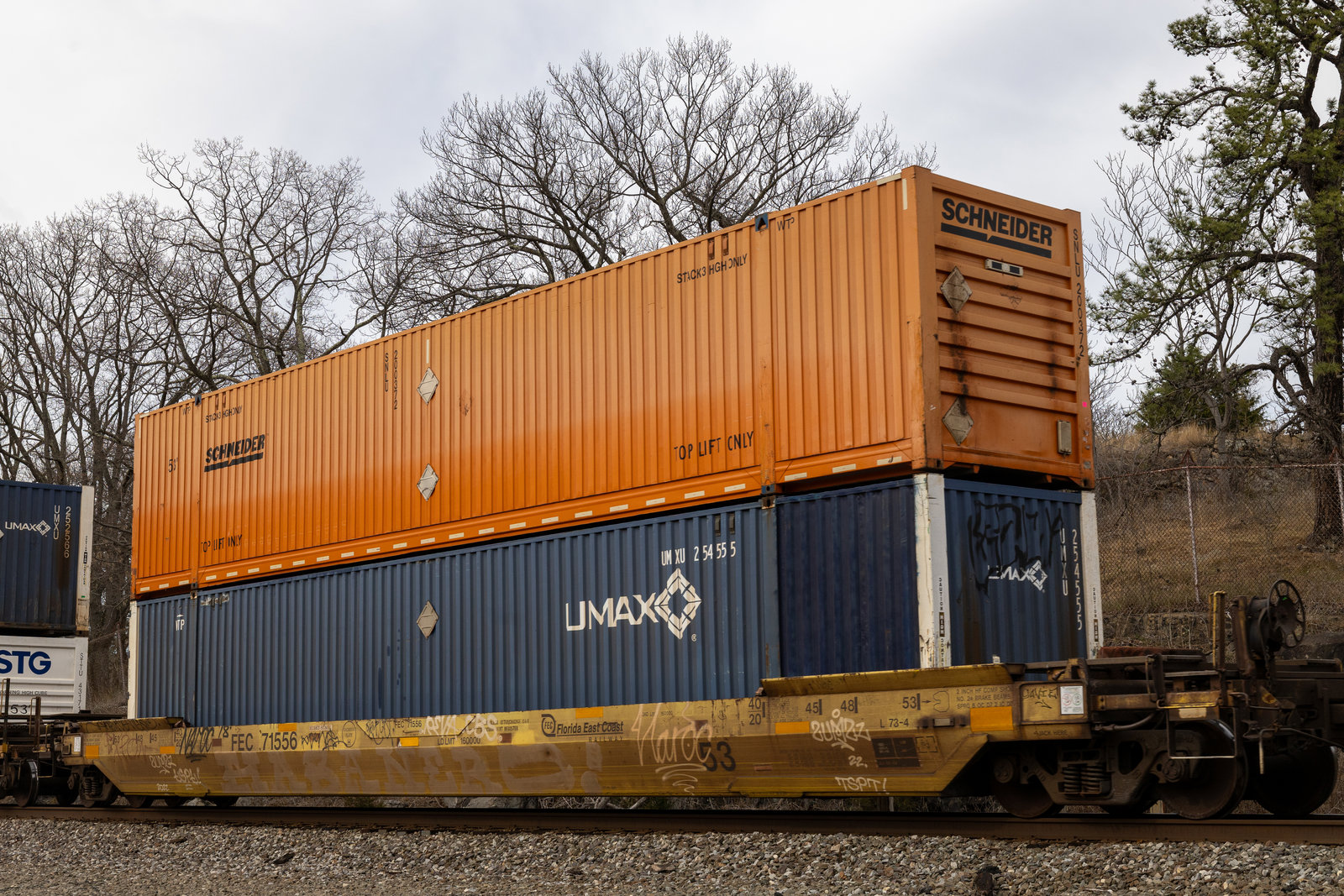FEC 71556