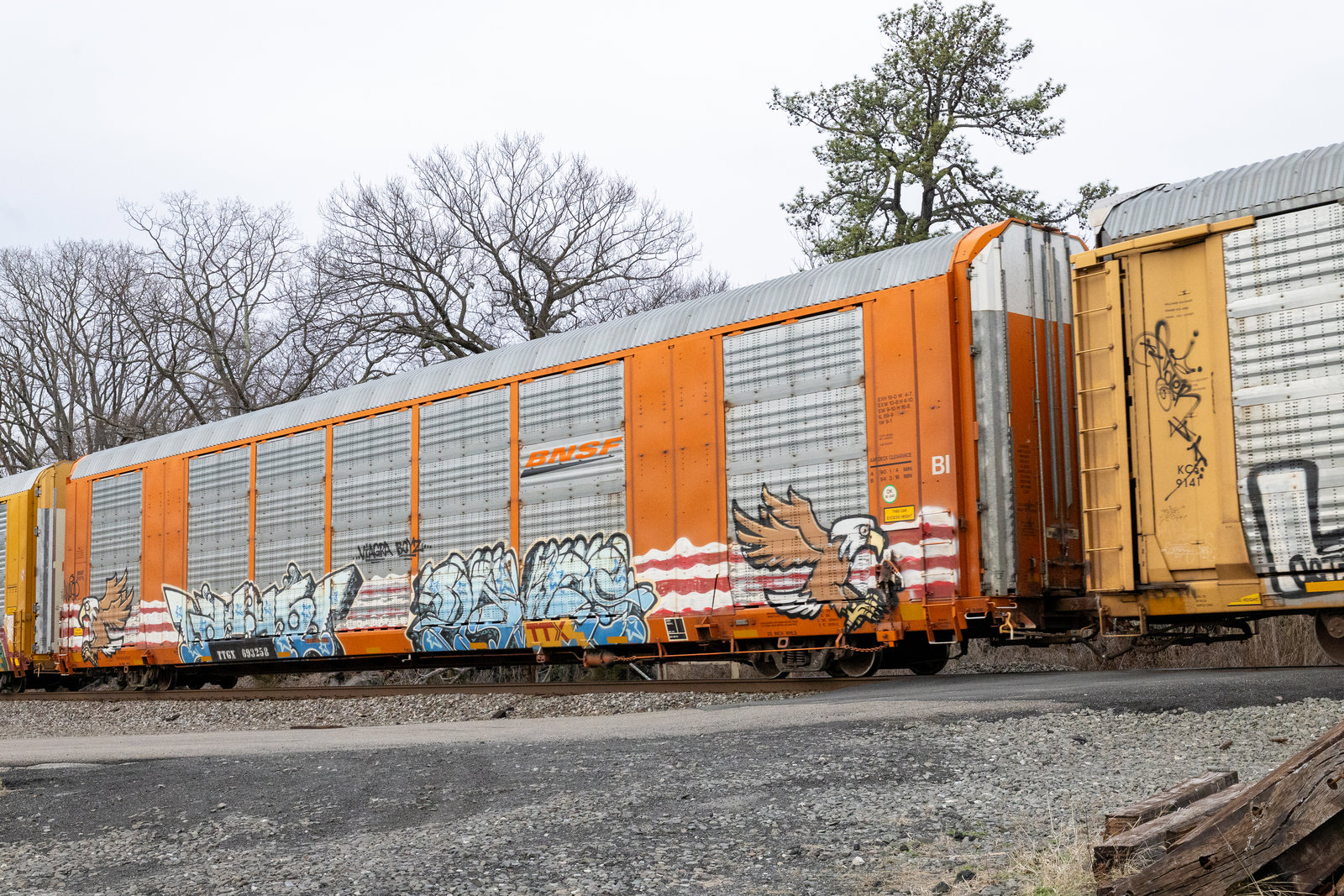 TTGX 693258