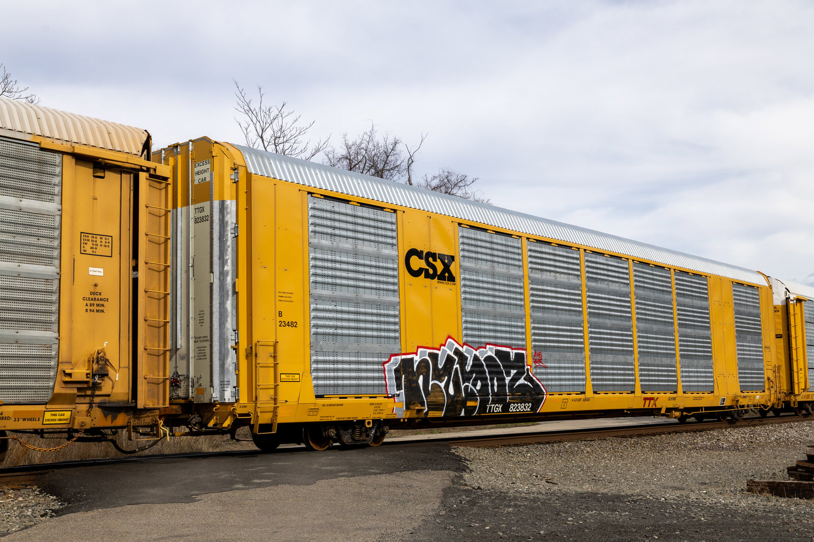 TTGX 823832