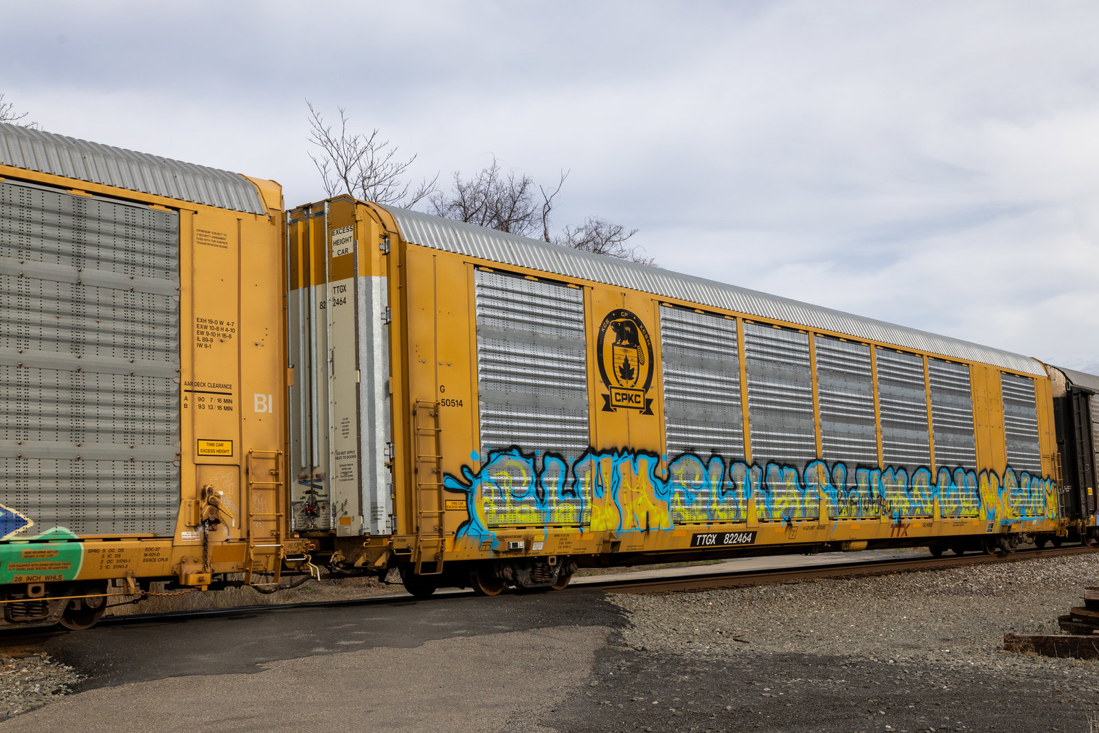 TTGX 822464