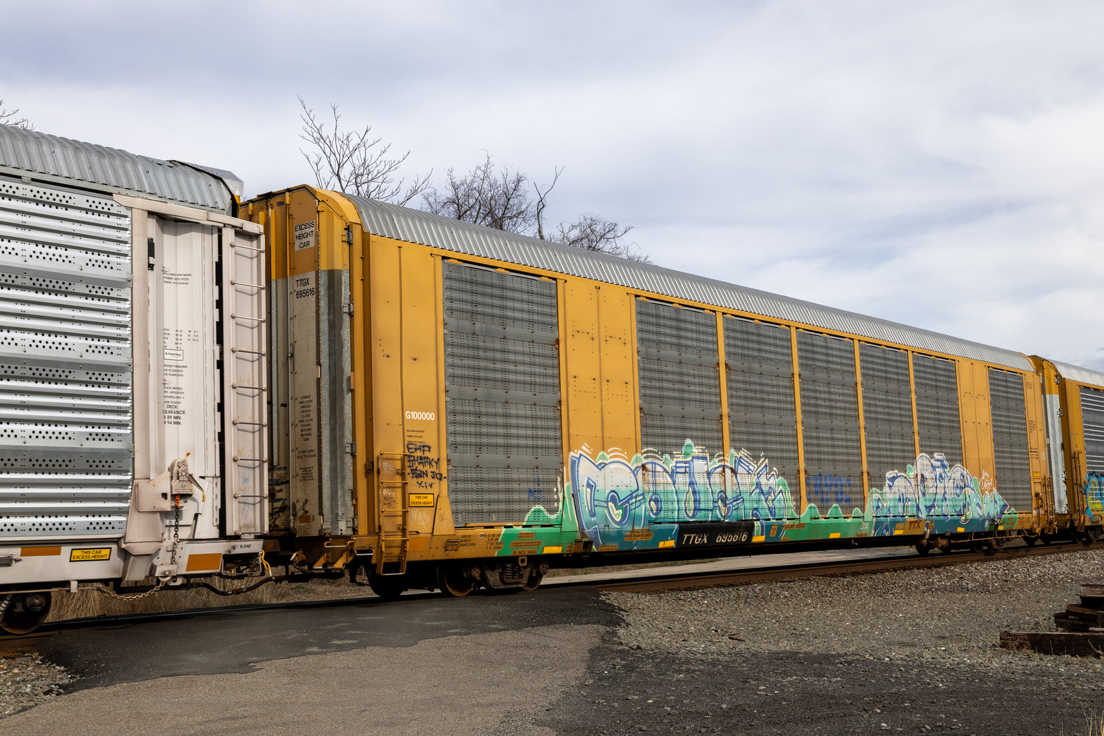TTGX 695616