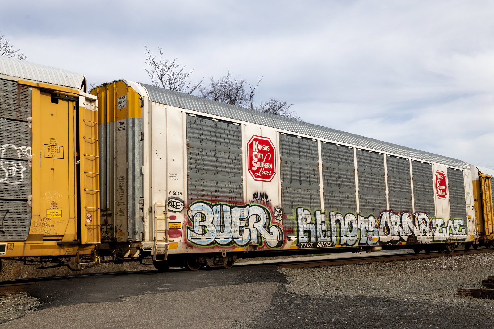 TTGX 697152