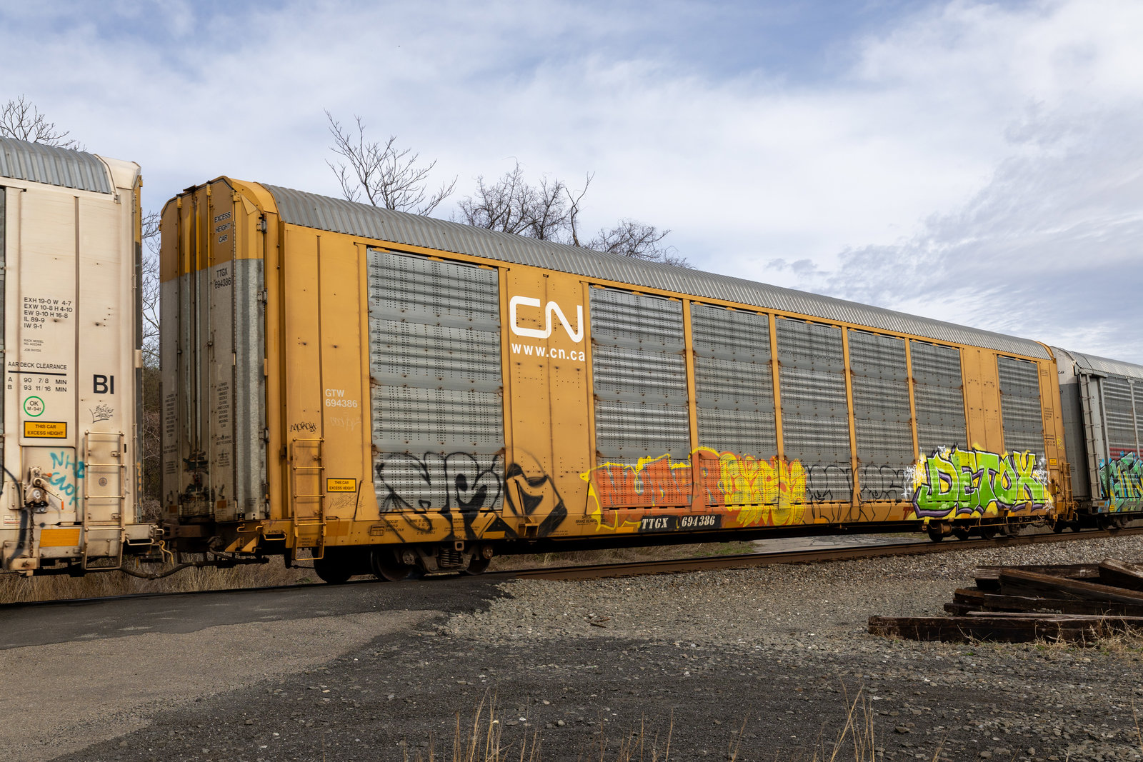 TTGX 694386