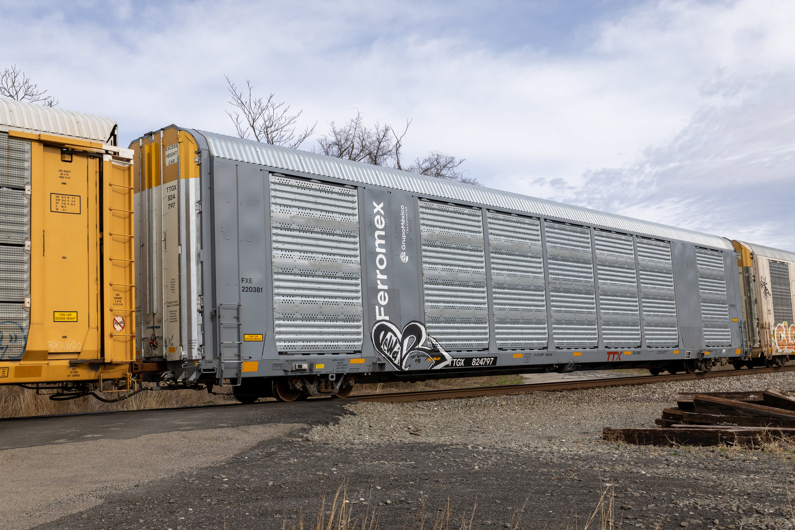 TTGX 824797