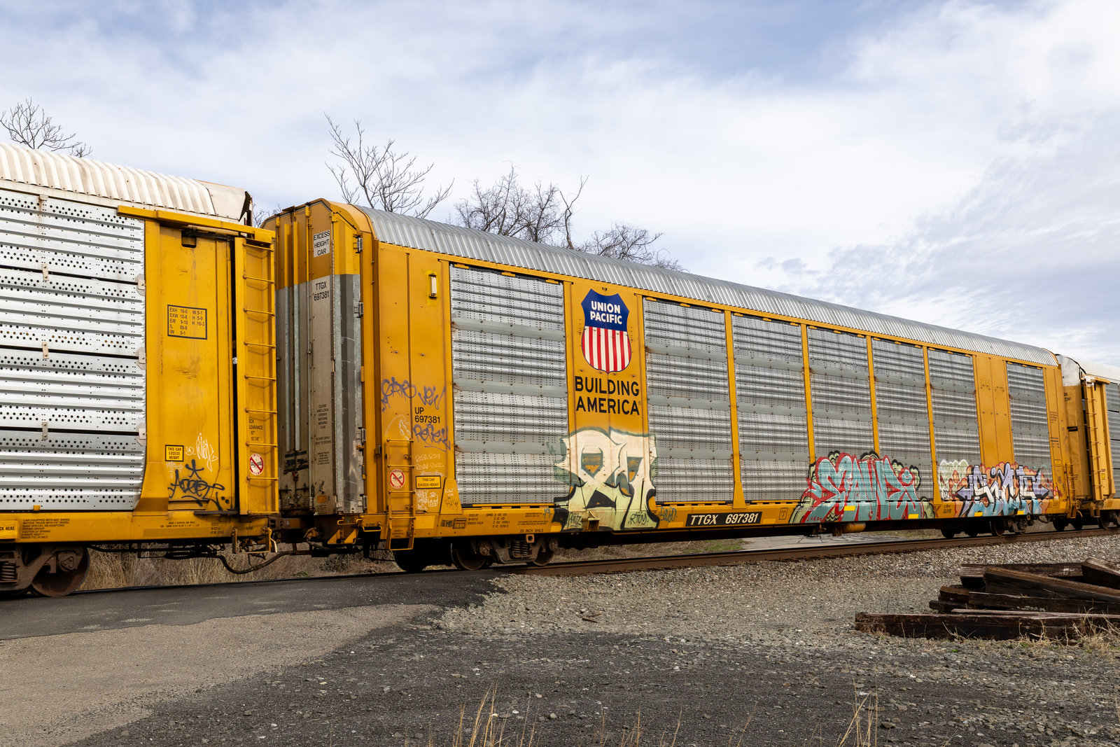 TTGX 697381