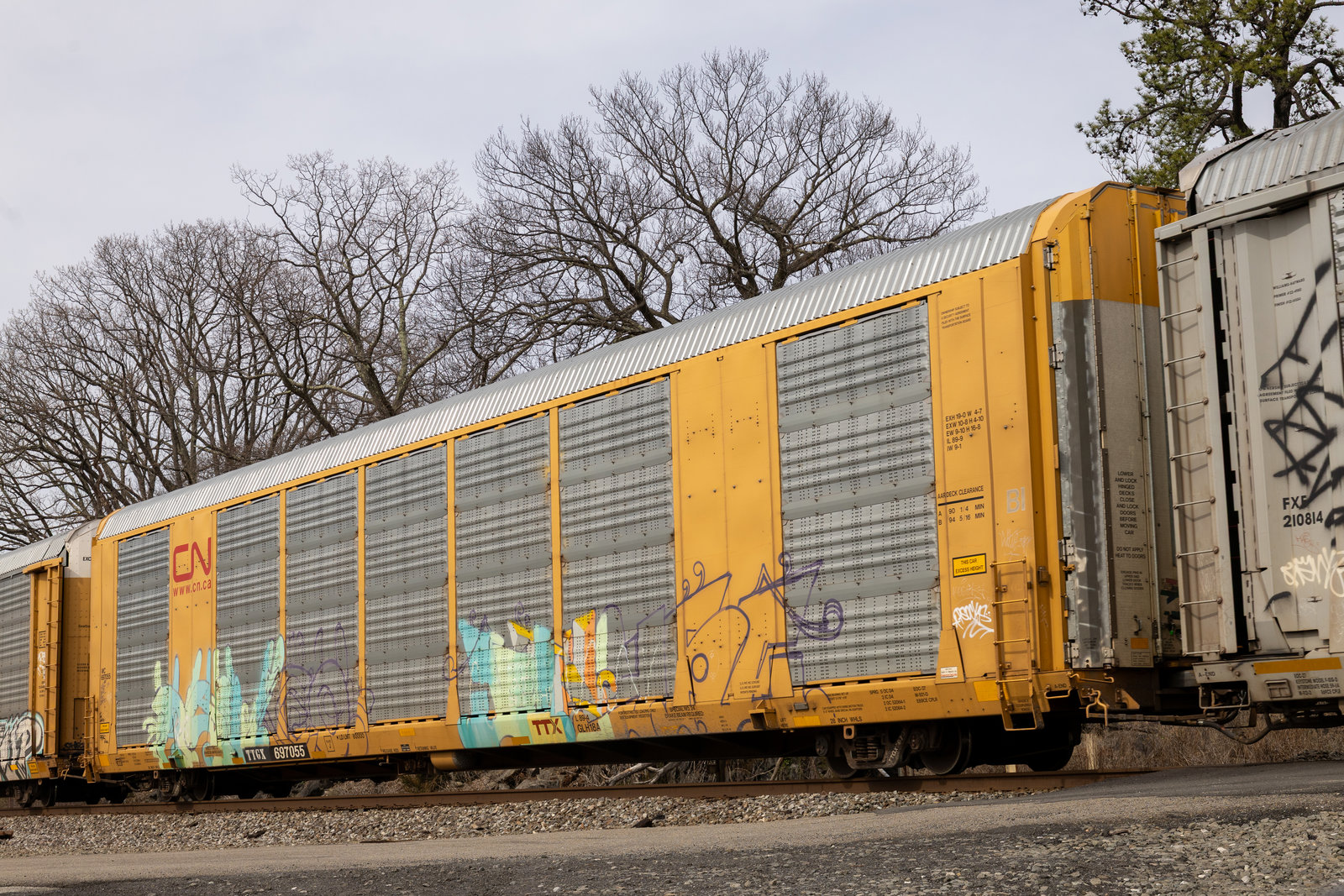 TTGX 697055