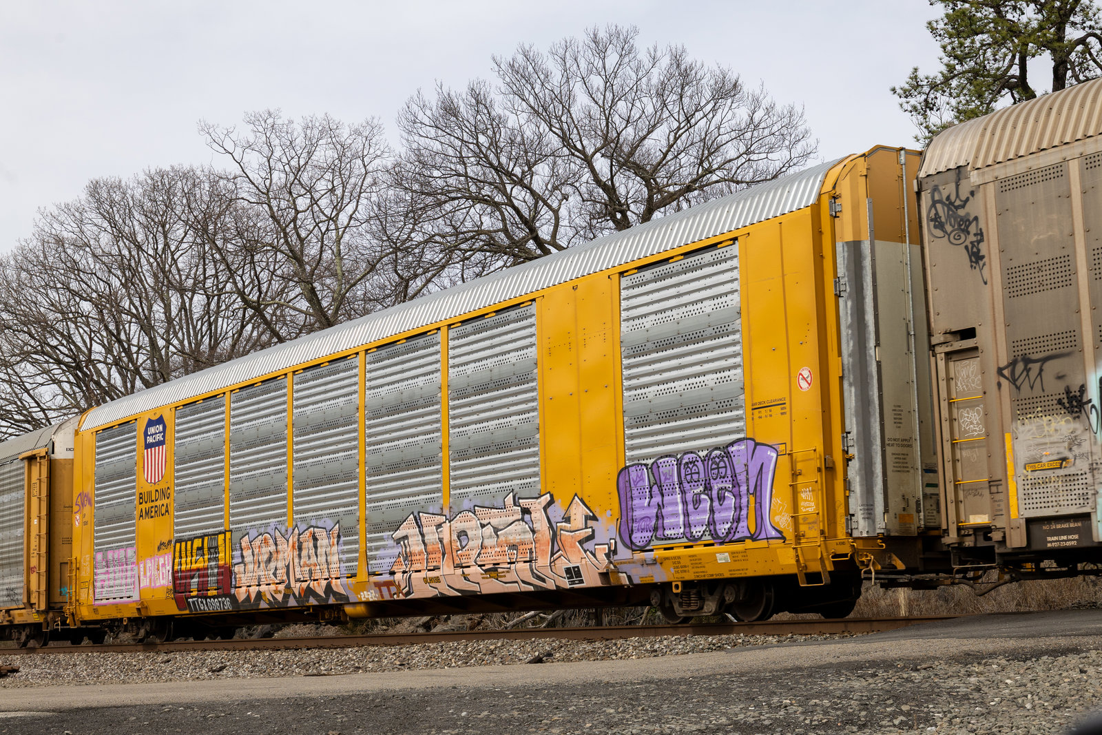 TTGX 698736