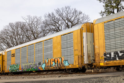 TTGX 699969
