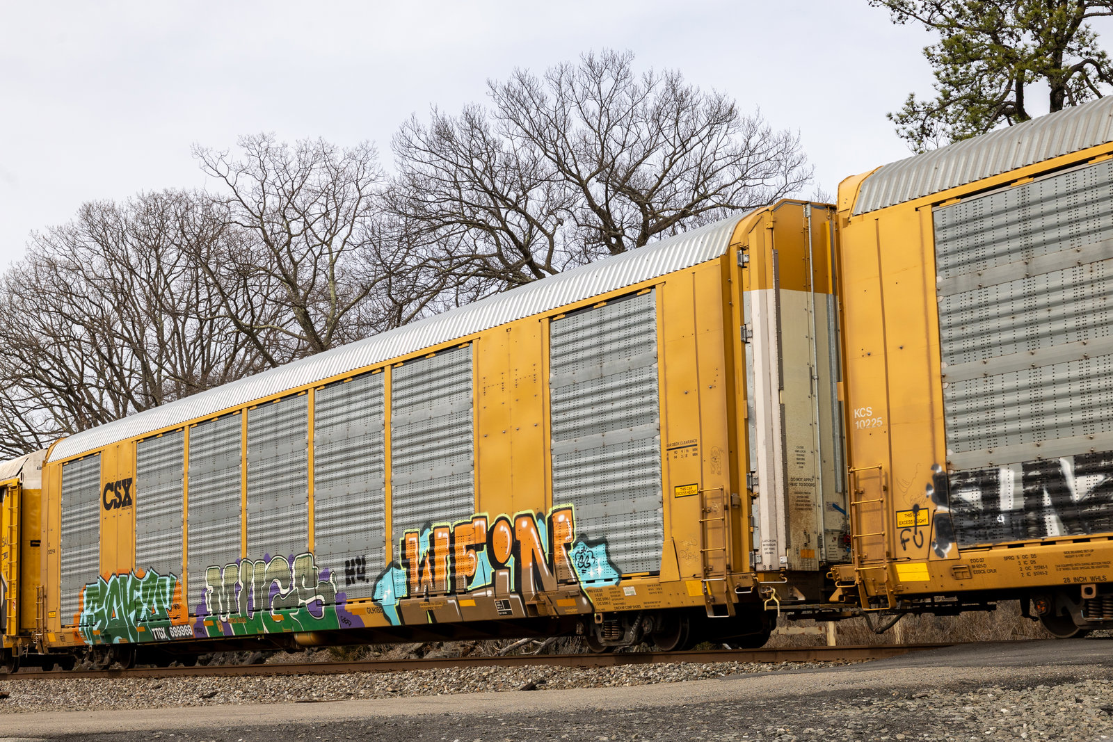 TTGX 699969