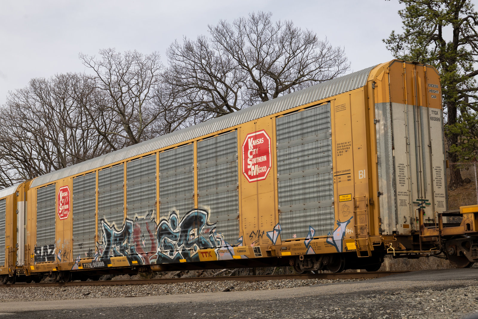 TTGX 693899