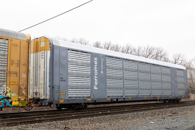 TTGX 824736