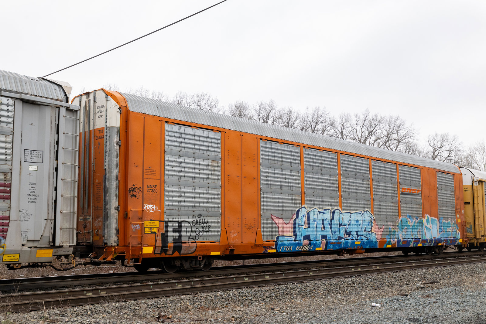 TTGX 693664