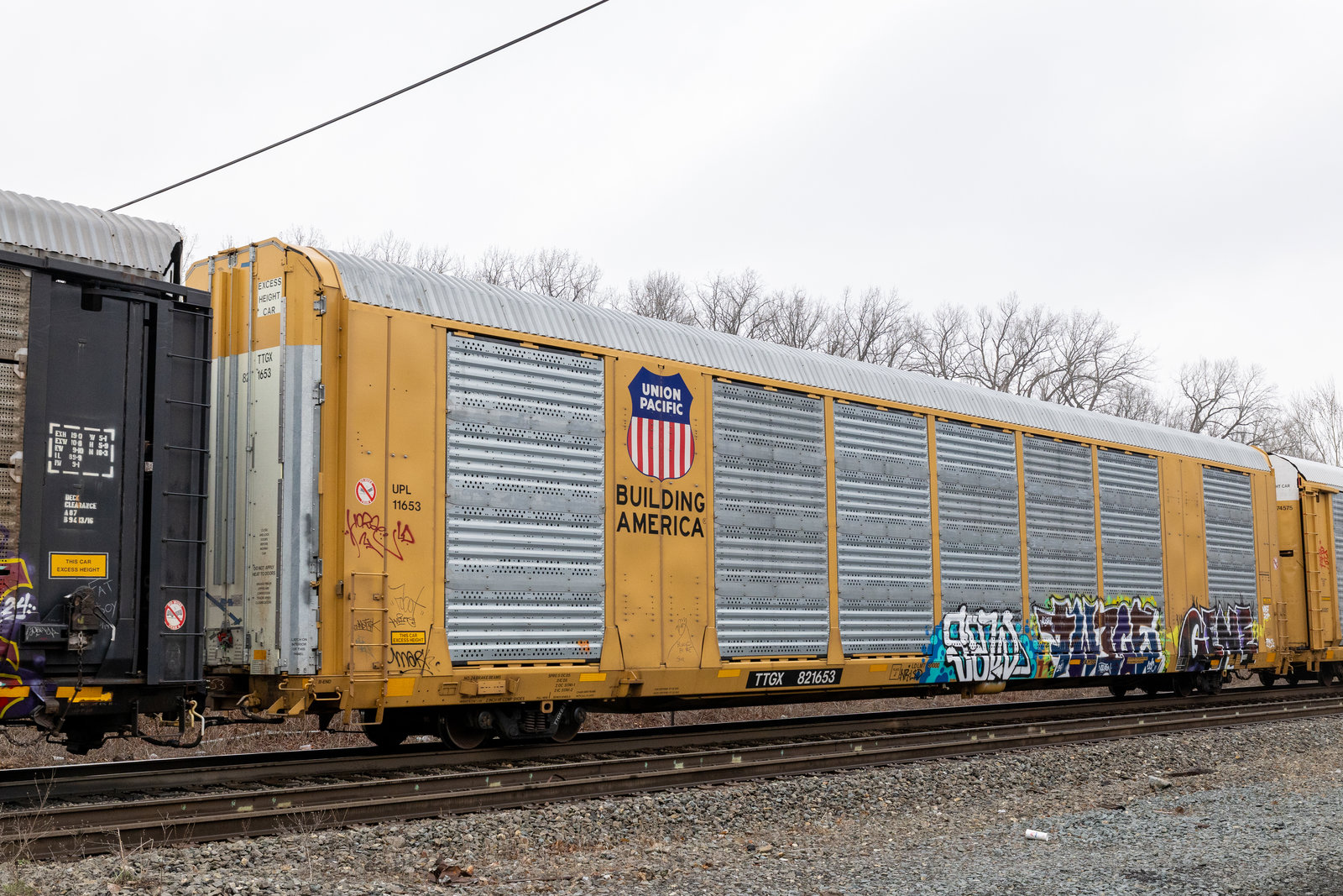 TTGX 821653