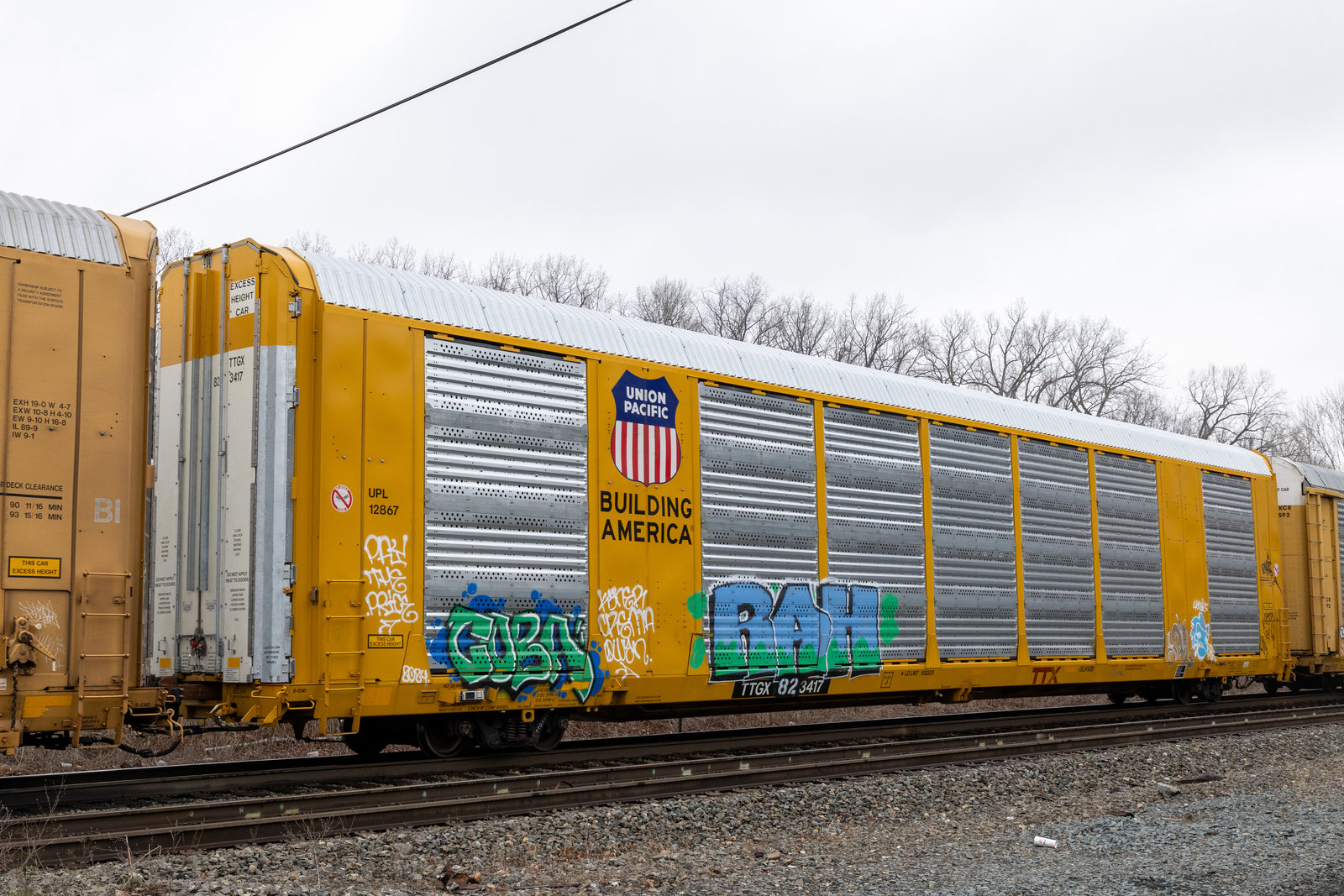 TTGX 823417