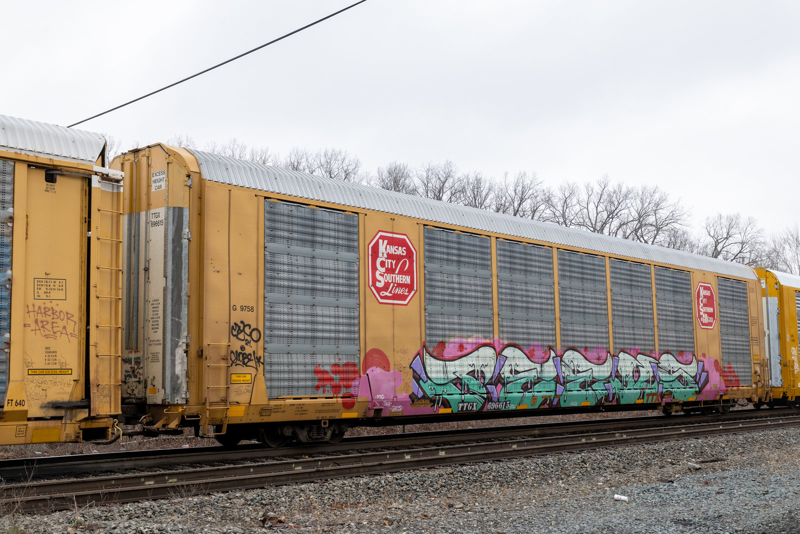 TTGX 696615