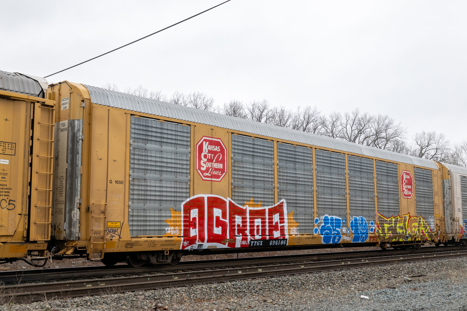 TTGX 696106