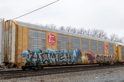 TTGX 691275