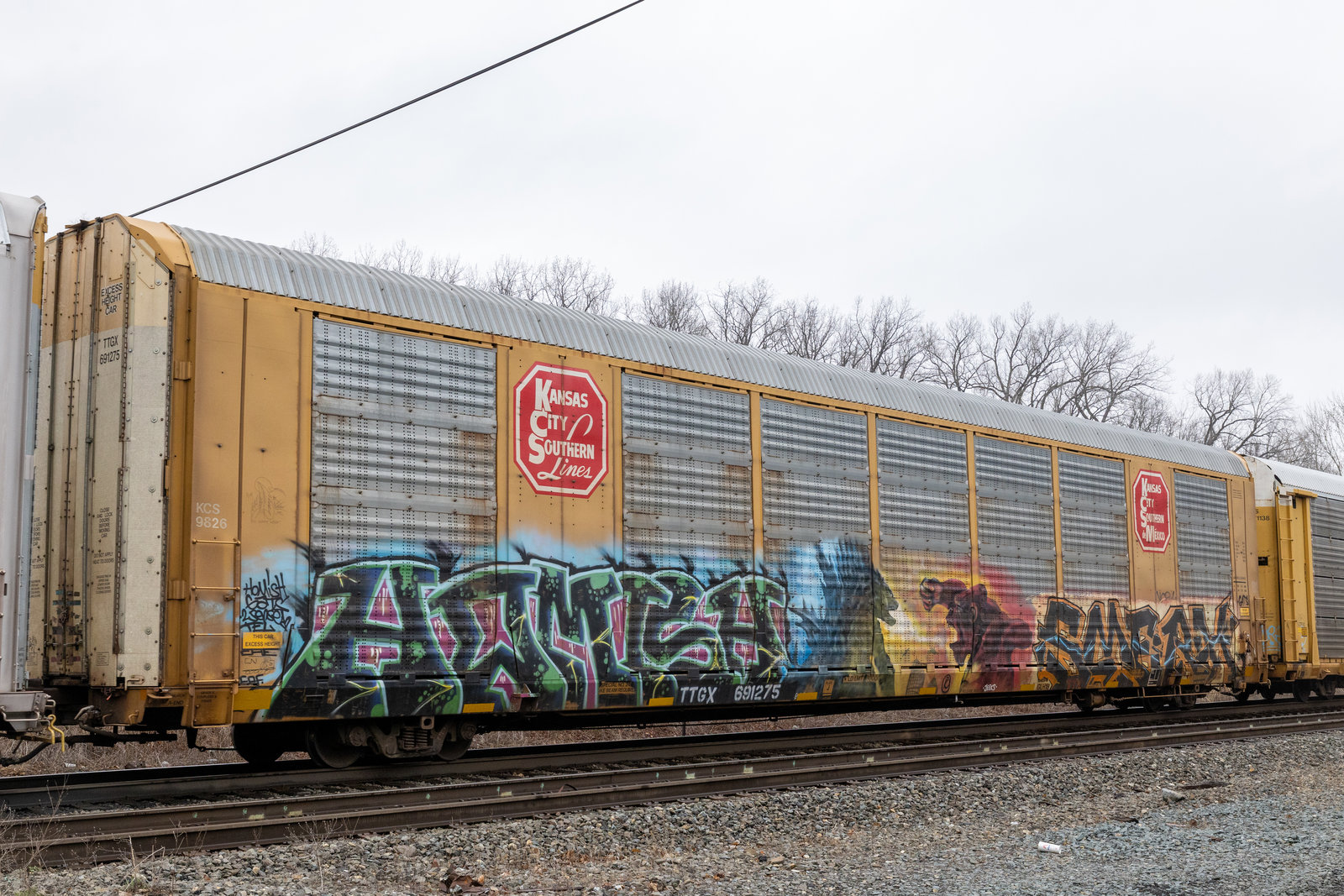 TTGX 691275