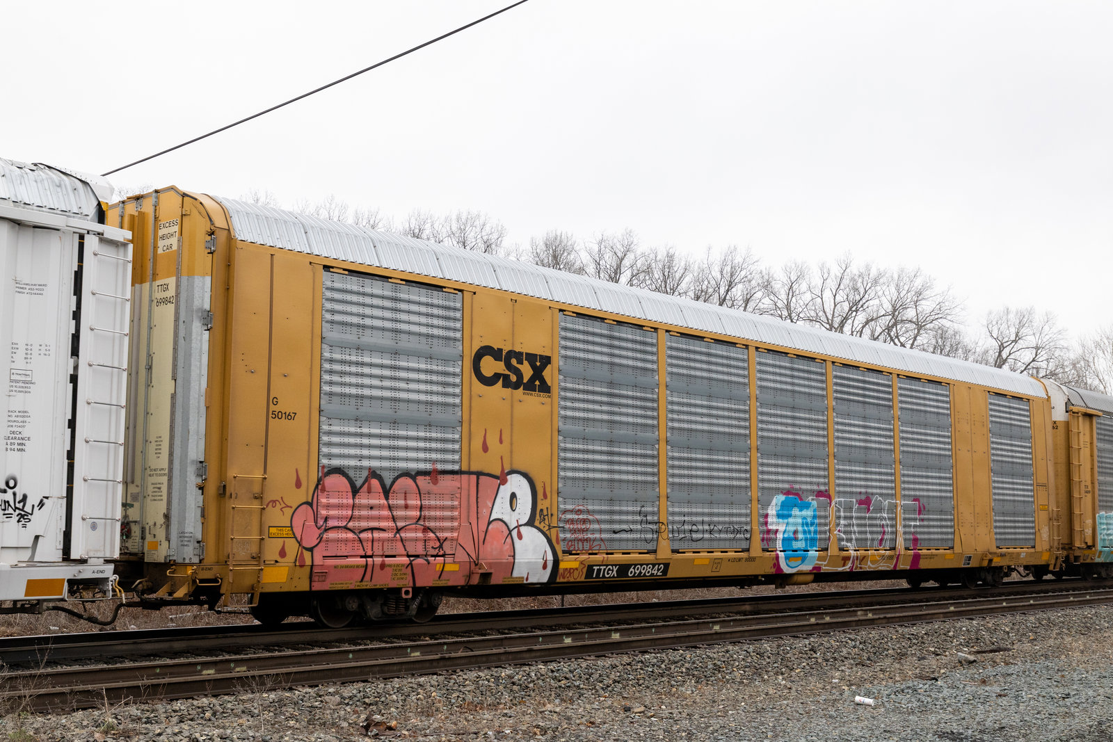 TTGX 699842
