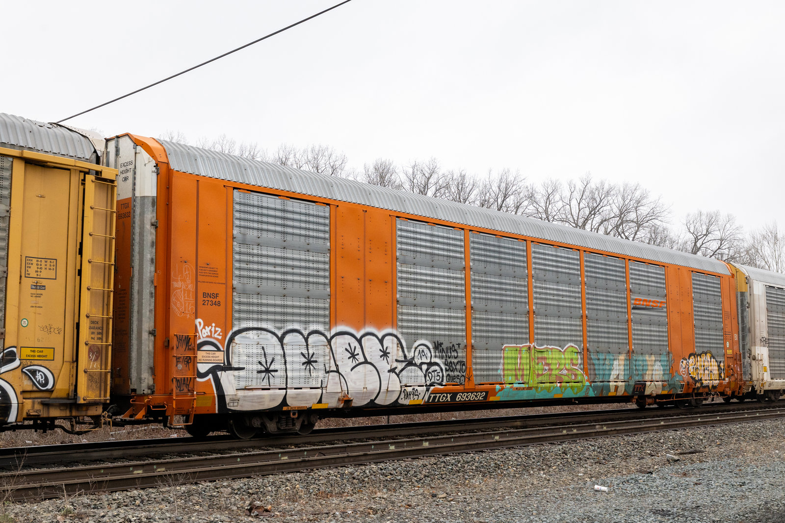 TTGX 693632