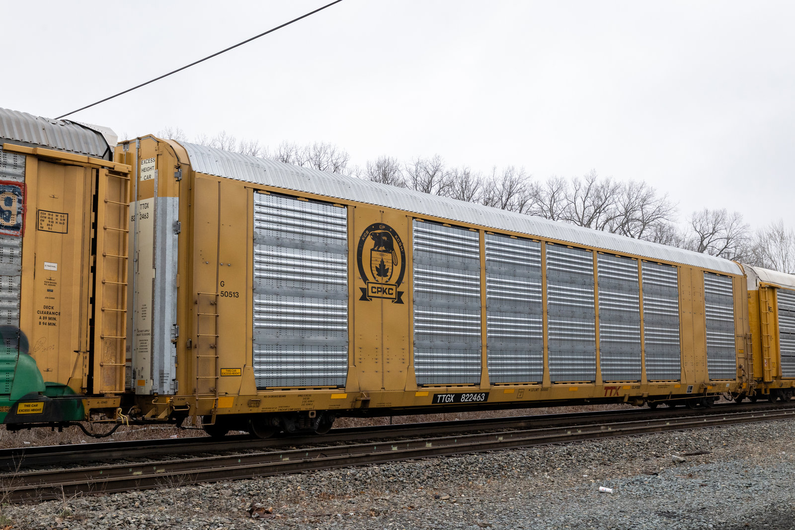 TTGX 822463