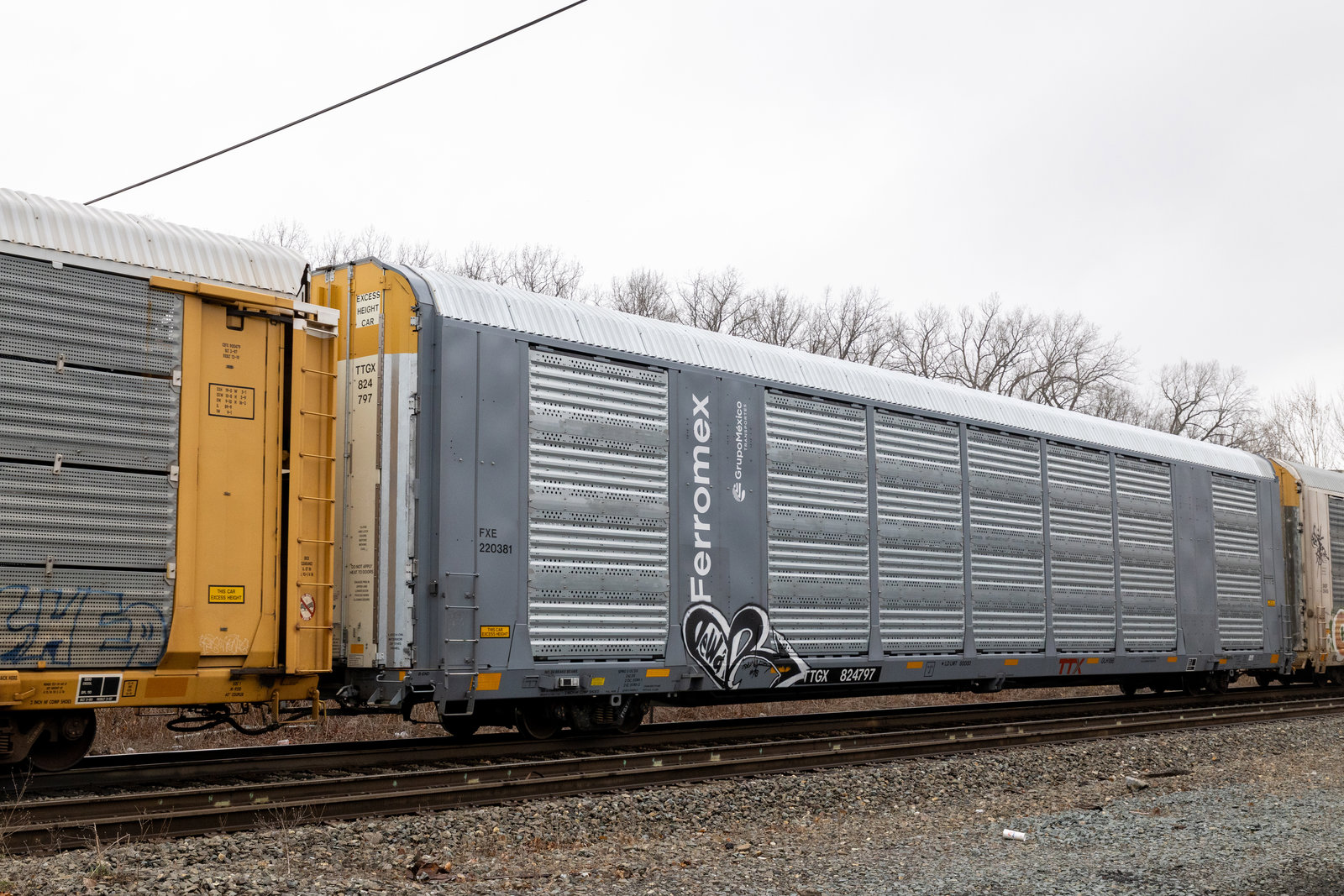 TTGX 824797