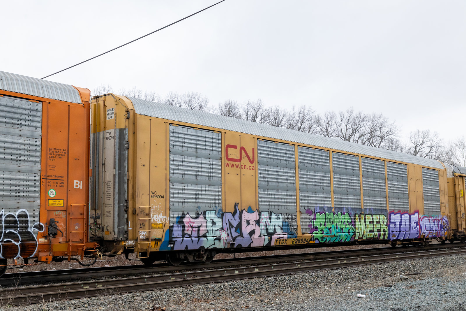 TTGX 696994