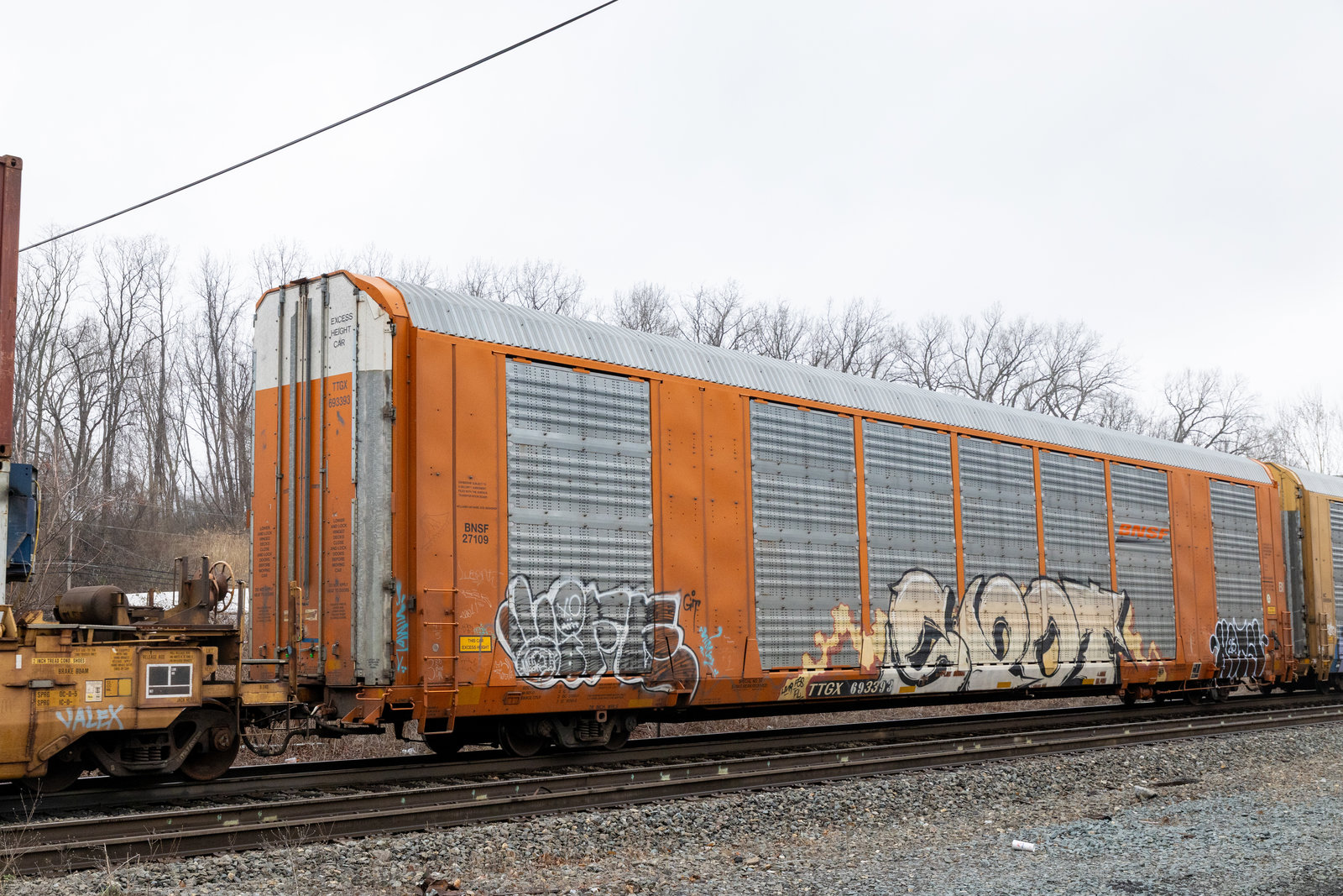 TTGX 693393
