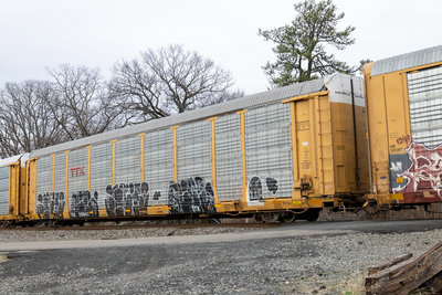 TTGX 710943