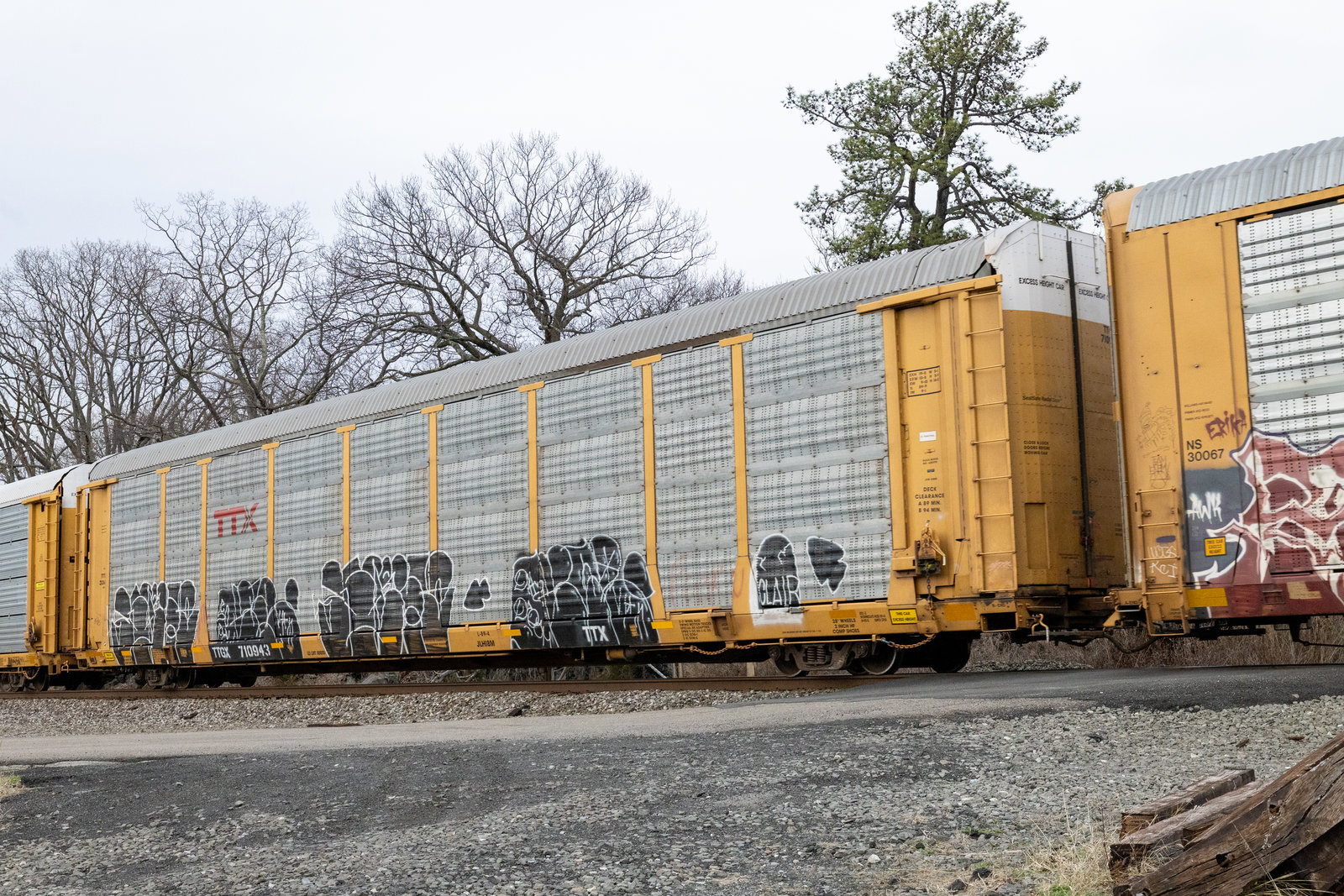 TTGX 710943