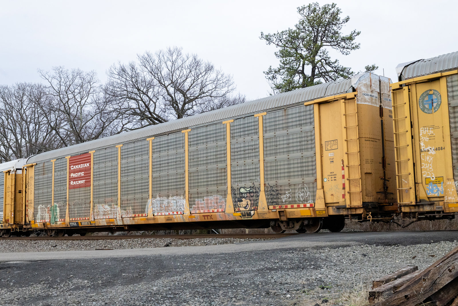 TTGX 988878