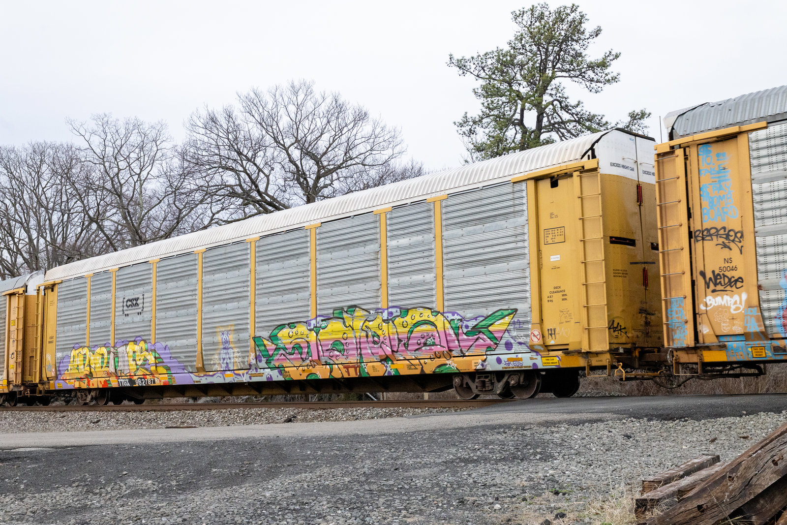 TTGX 962787