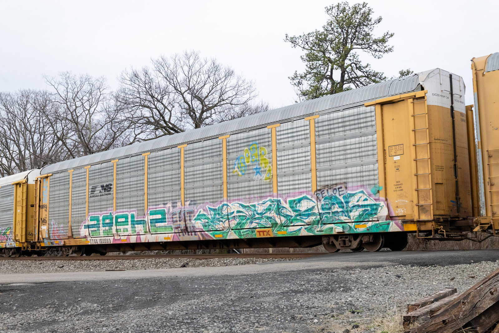 TTGX 159593