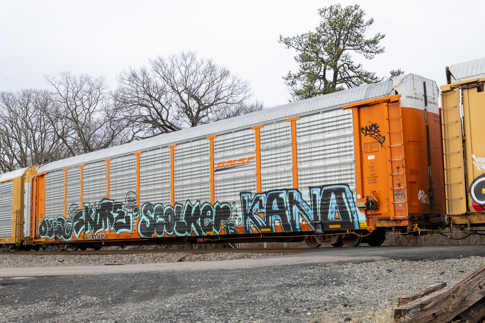 TTGX 987552