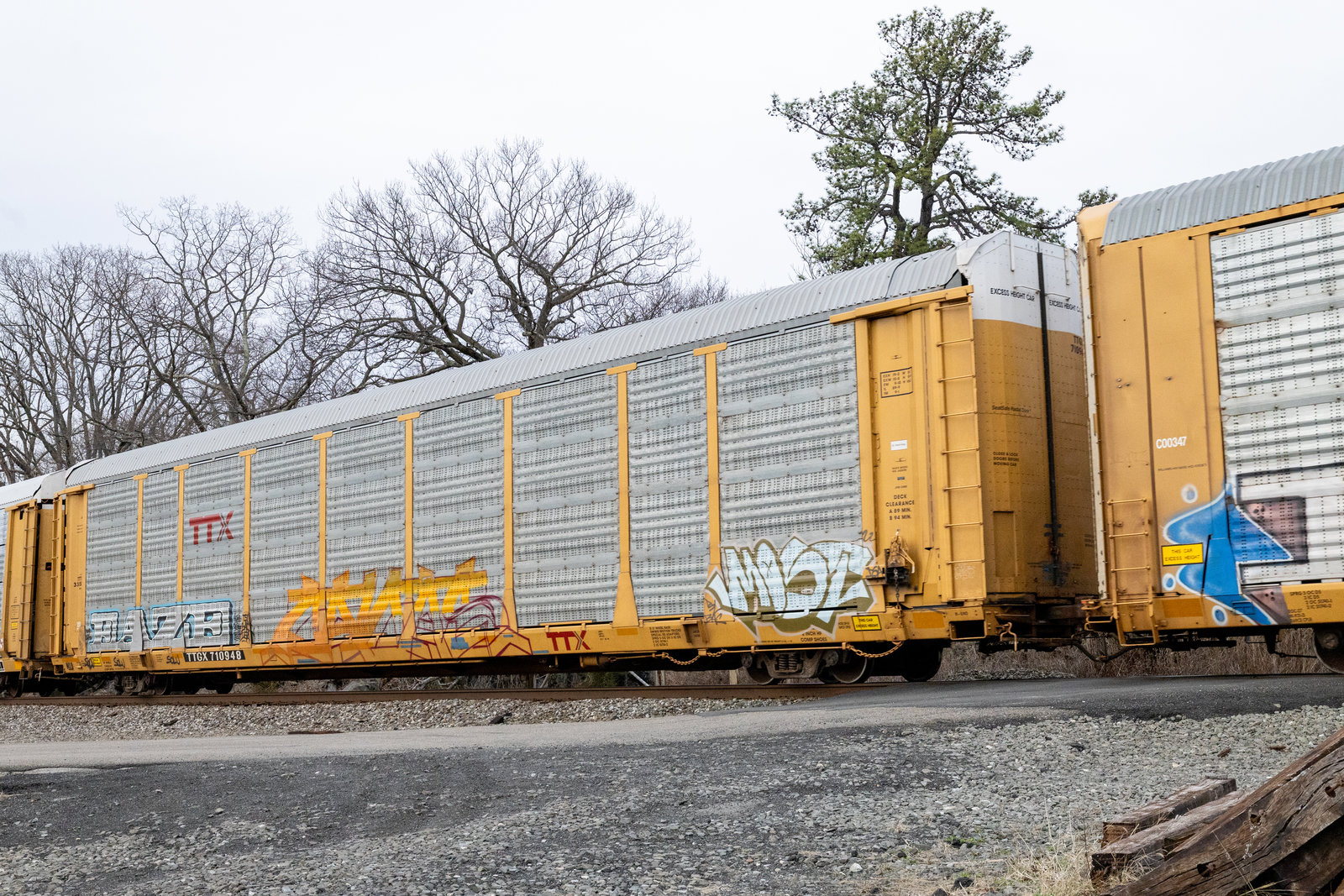 TTGX 710948