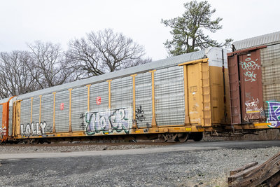 TTGX 981237