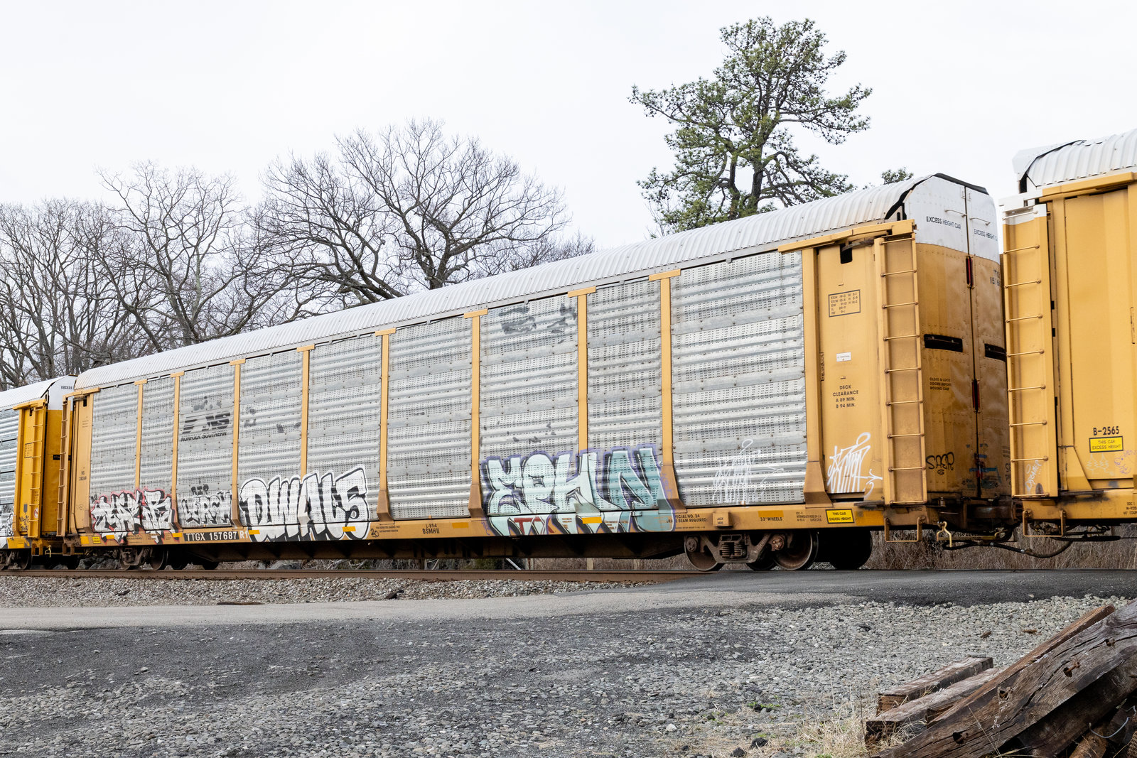 TTGX 157687