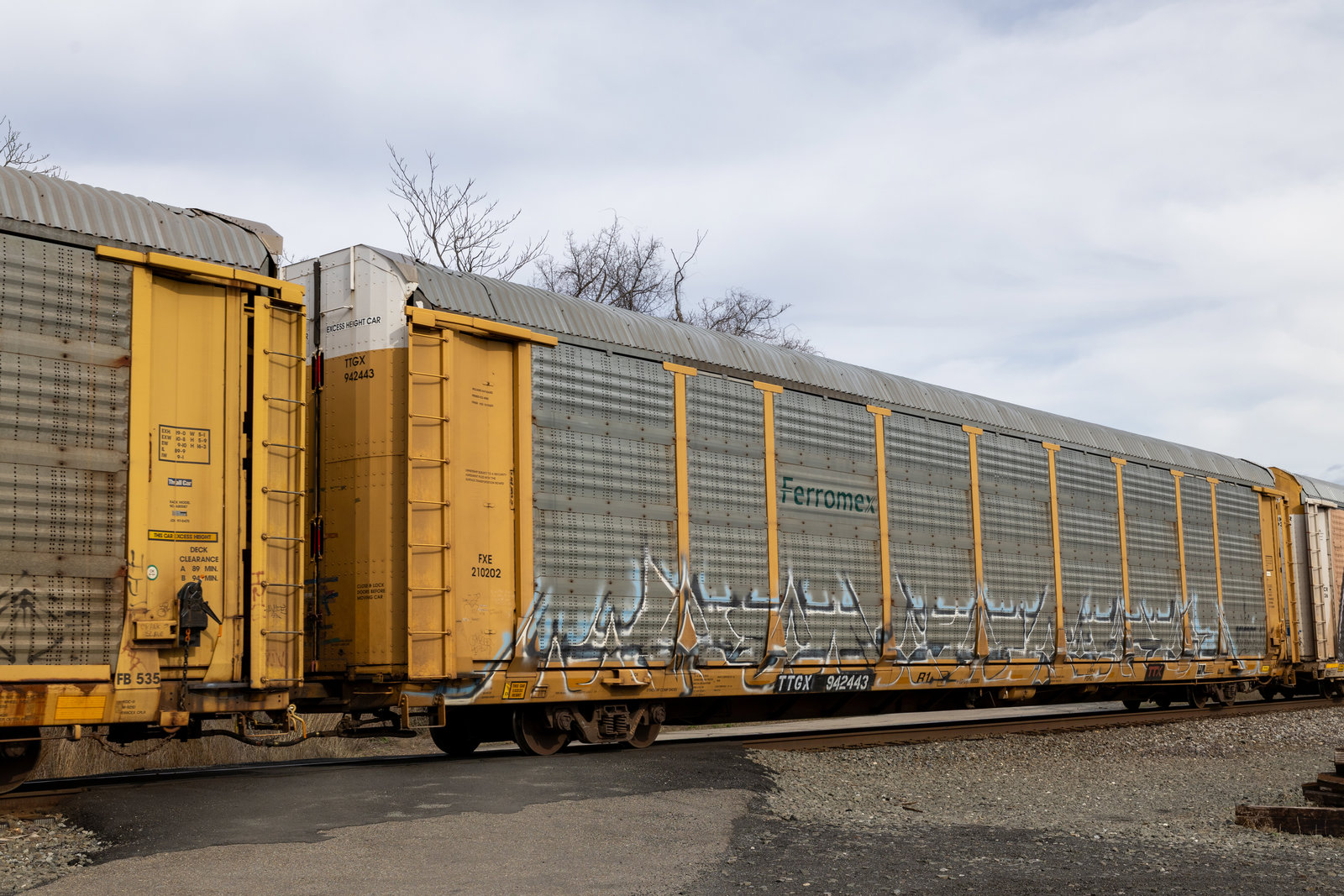 TTGX 942443