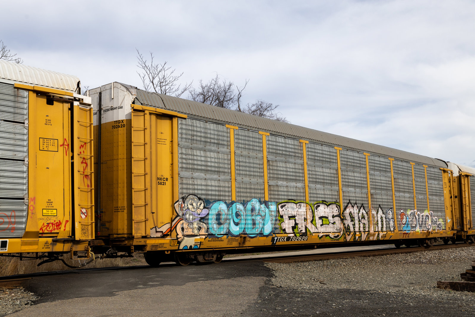 TTGX 702620