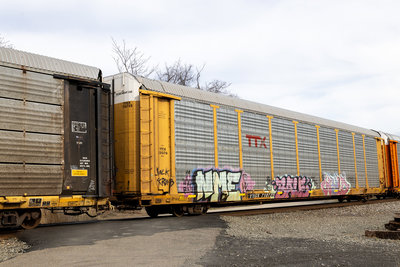 TTGX 710725