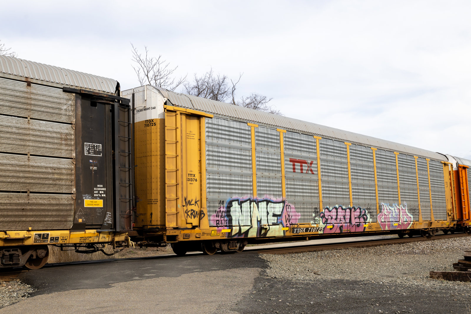 TTGX 710725