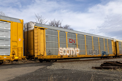 TTGX 706411