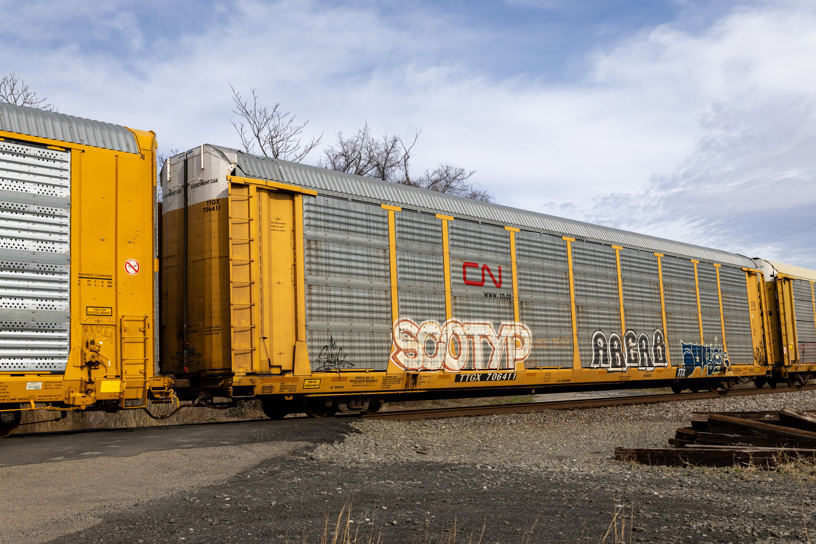 TTGX 706411