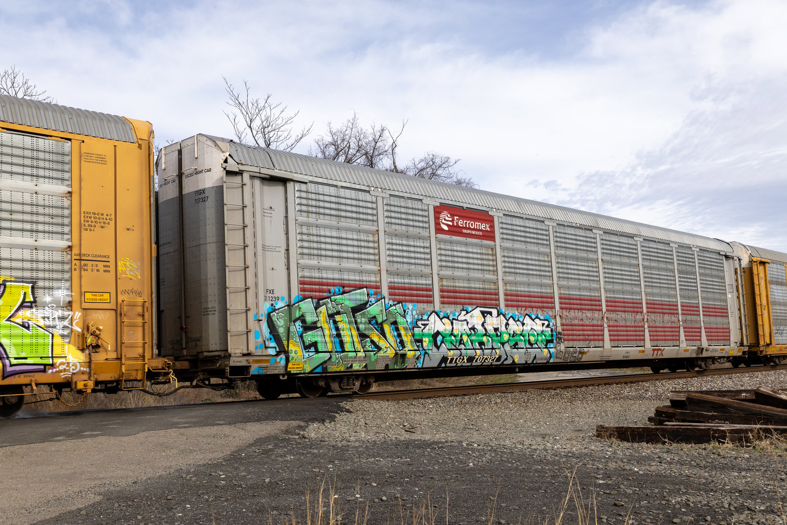 TTGX 707327
