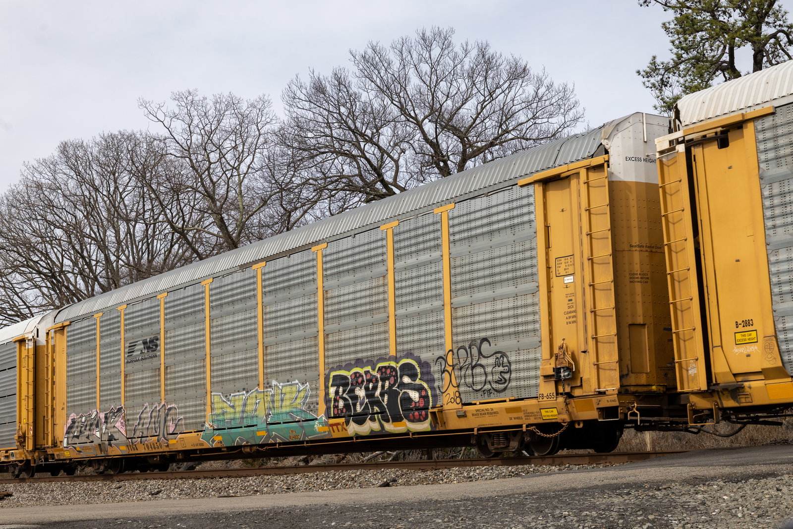 TTGX 704850