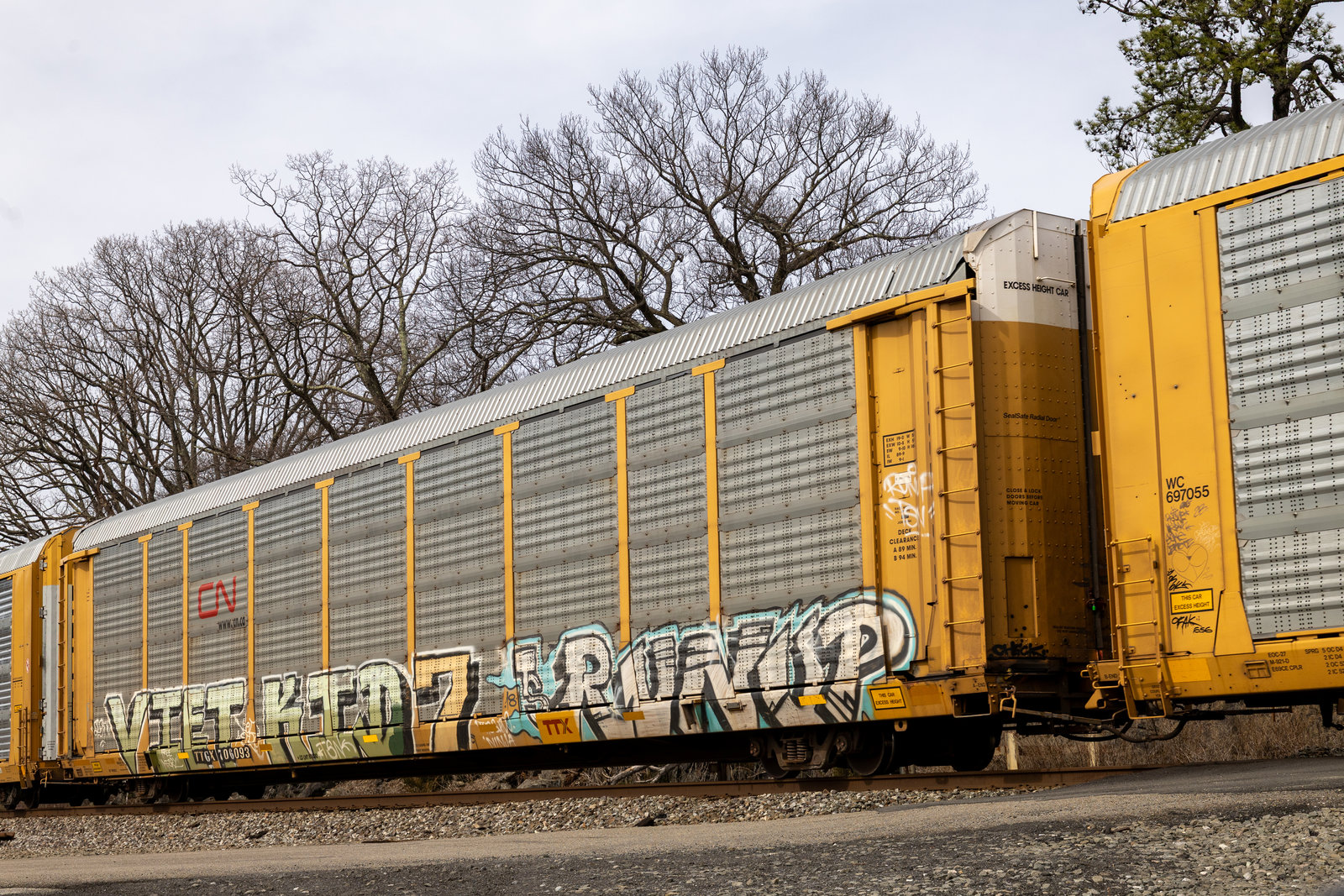 TTGX 706093