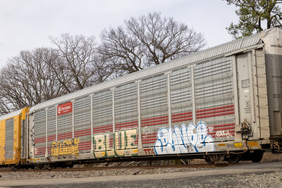 TTGX 706510