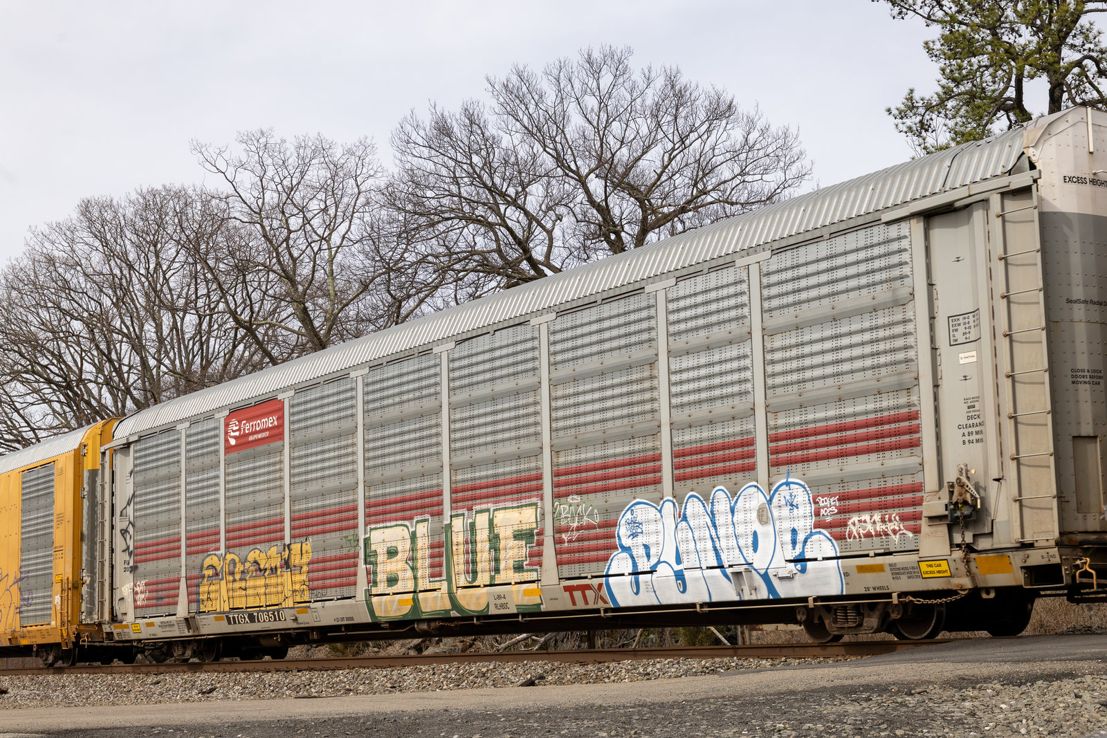 TTGX 706510