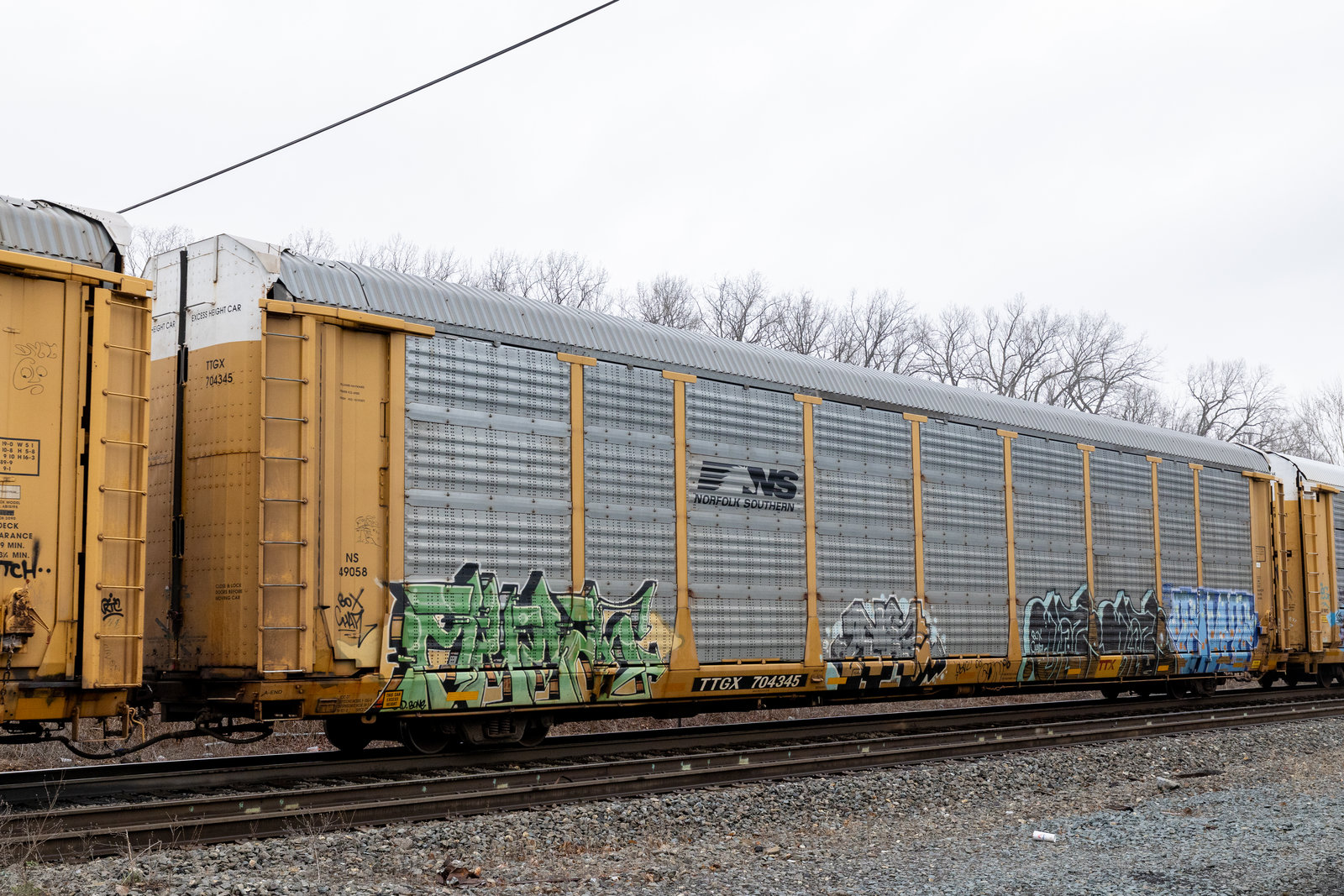 TTGX 704345