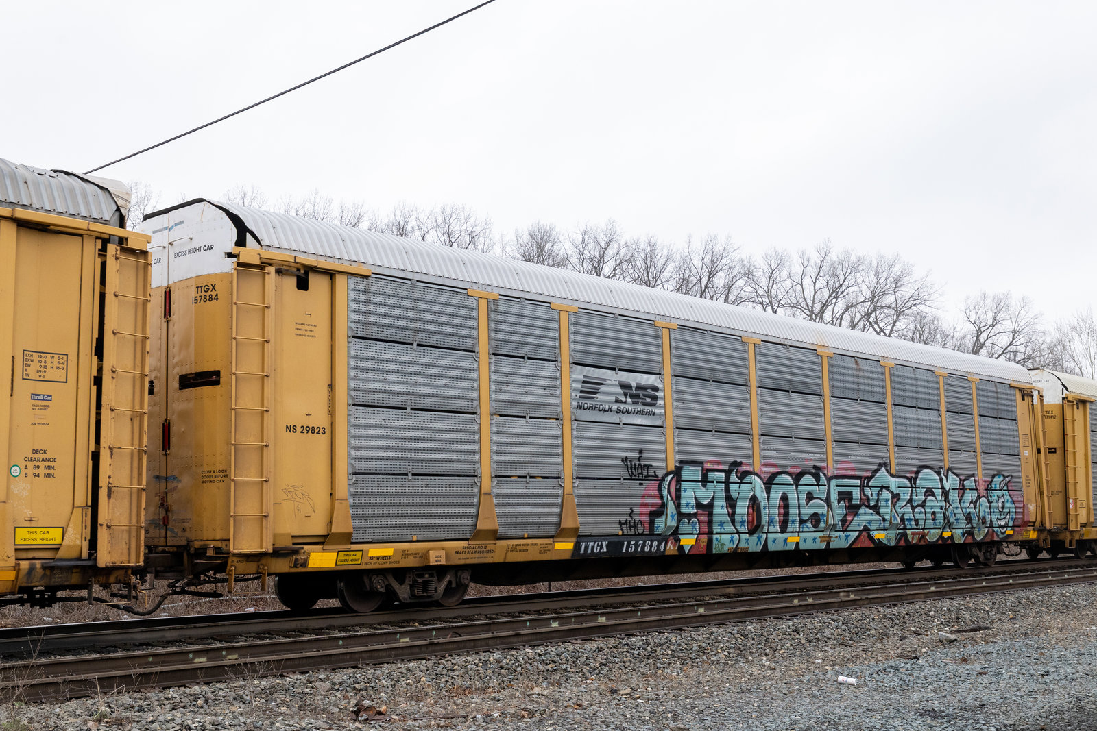 TTGX 157884